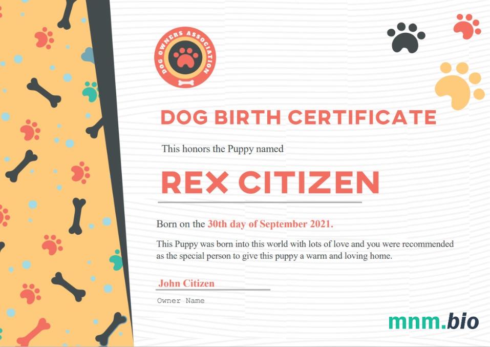 USA Dog Birth cert